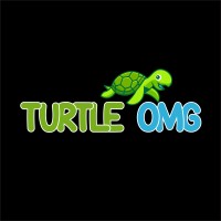 Turtle OMG logo - Similar company to Baula