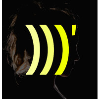 Sound Thinkers logo - Similar company to Circle