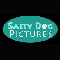 Salty Dog Pictures logo - Similar company to Beised