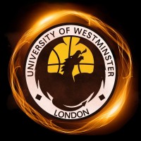 Westminster Basketball logo - Similar company to Knights Basketball