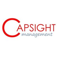 Capsight Management - Manager de Transition Industrie et Technologies logo - Similar company to Neoecho)) - Management De Transition