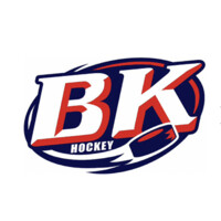 B.K hockey logo - Similar company to Hl Anyang