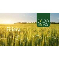 Food Italiae Srl logo - Similar company to Be Well Group
