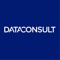 Data Consult logo - Similar company to Sconet