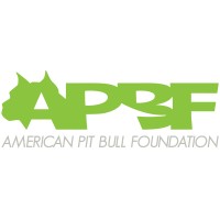 American Pit Bull Foundation