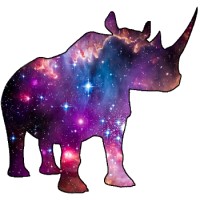 Rhino English logo - Similar company to Premium Level Ec