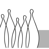 hoft.consultoria logo - Similar company to Futuro S/A