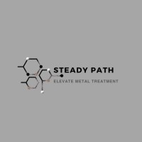 Steady Path logo - Similar company to Operatis