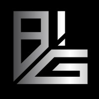Business Insurance Group logo - Similar company to One Sure Insurance Services