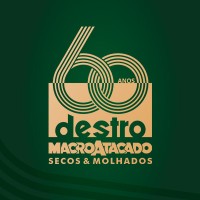 Grupo Destro logo - Similar company to Virtualclin