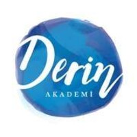 Derin Akademi logo - Similar company to Steridia