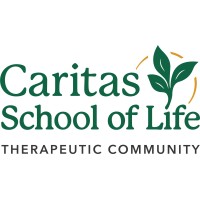 Caritas School of Life logo - Similar company to Behaviour Innovations