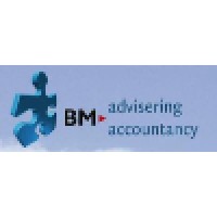BM-Advisering & Accountancy logo - Similar company to Bormansjava, Adm. En Belastingadviseurs