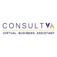 Consult VA logo - Similar company to Teqzero