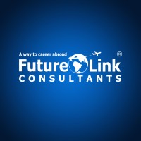 Future Link Consultants logo - Similar company to Future Links