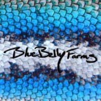 Blue Belly Farms logo - Similar company to Leela Herb Co.