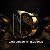 DDI LATAM - Data Driven Intelligence logo - Similar company to Gain Dynamics