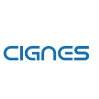 Cignes logo - Similar company to Qudit Infotech Pvt Ltd