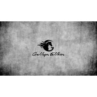 Gallops Tallkies logo - Similar company to Mp Holidays