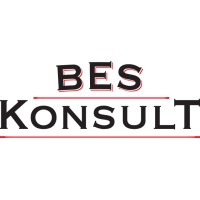BES Konsult Sverige AB logo - Similar company to Agile Growth Academy And Community - By Evelyn Konsult