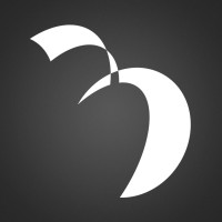 Backstage Commerce, Inc. (BSC, Inc.) logo - Similar company to Canaweb