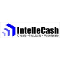 Intellecash Microfinance Network Company Private Limited