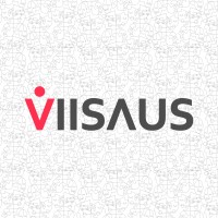 VIISAUS logo - Similar company to Execution Edge Limited