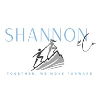 Shannon & Co logo - Similar company to Eng Scientific