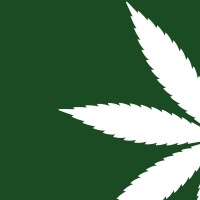 Hanf Magazin logo - Similar company to 420Cloud