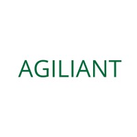 AGILIANT logo - Similar company to Hctit