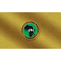 Educate For Hope Africa(E4HA) logo - Similar company to Teach For Tanzania