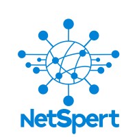 NetSpert - Trust The Experts logo - Similar company to World Wide Wifi Experts® - Fast, Frictionless, And Secure (Industrial) Wireless & Iot Solutions -