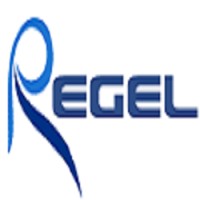 Regel Systems Pvt. Ltd. logo - Similar company to Rewise Analytics & Technologies Pvt. Ltd.