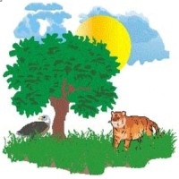 Environmental Conservation Club (FUTA) logo - Similar company to Our Haven
