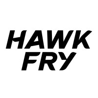 Hawkfry Group logo - Similar company to Tasman Analytics