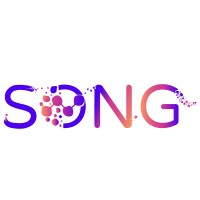 SONG logo - Similar company to Being In Systems