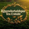 RAMDURLABHPUR TEA CO LTD logo - Similar company to Mozeto Tea