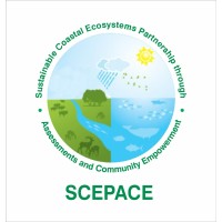 SCEPACE logo - Similar company to Dpsun