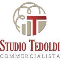 Studio Tedoldi logo - Similar company to Lb Talent Agency