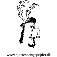 DDS Hjortespring Gruppe