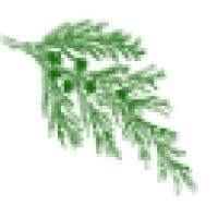 SONO INC. logo - Similar company to Sky Scrapper