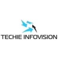 Techie Infovision logo - Similar company to Toke Services
