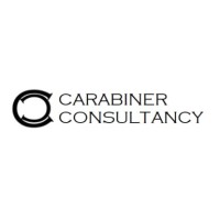 Carabiner Consultancy Llc