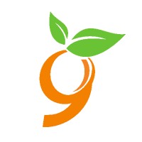 9seeds, LLC logo - Similar company to Digital Dynamo Llc