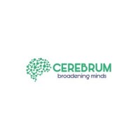 Cerebrum Infotech logo - Similar company to Mooglelabs