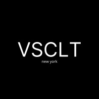 VSCLT logo - Similar company to Nubio