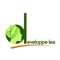 Developpe-Les logo - Similar company to Optimus Engineering Niger