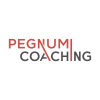 Pegnumi Coaching logo - Similar company to Pegnumi Contracting