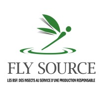 Fly Source logo - Similar company to Paralogik