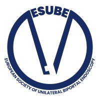 European Society of Unilateral Biportal Endoscopy (ESUBE) logo - Similar company to Upsurgeon